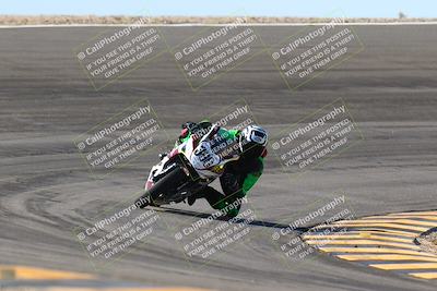 media/Jan-13-2024-SoCal Trackdays (Sat) [[9c032fe5aa]]/Bowl Exit Set 1 (1125am)/